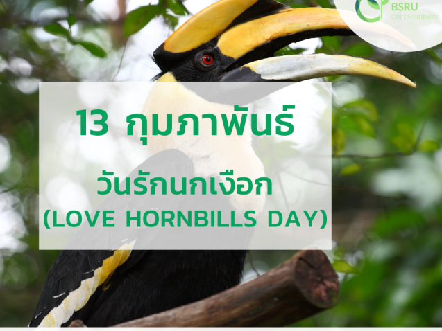 วันรักนกเงือก (Love Hornbills Day) #greenlibrary