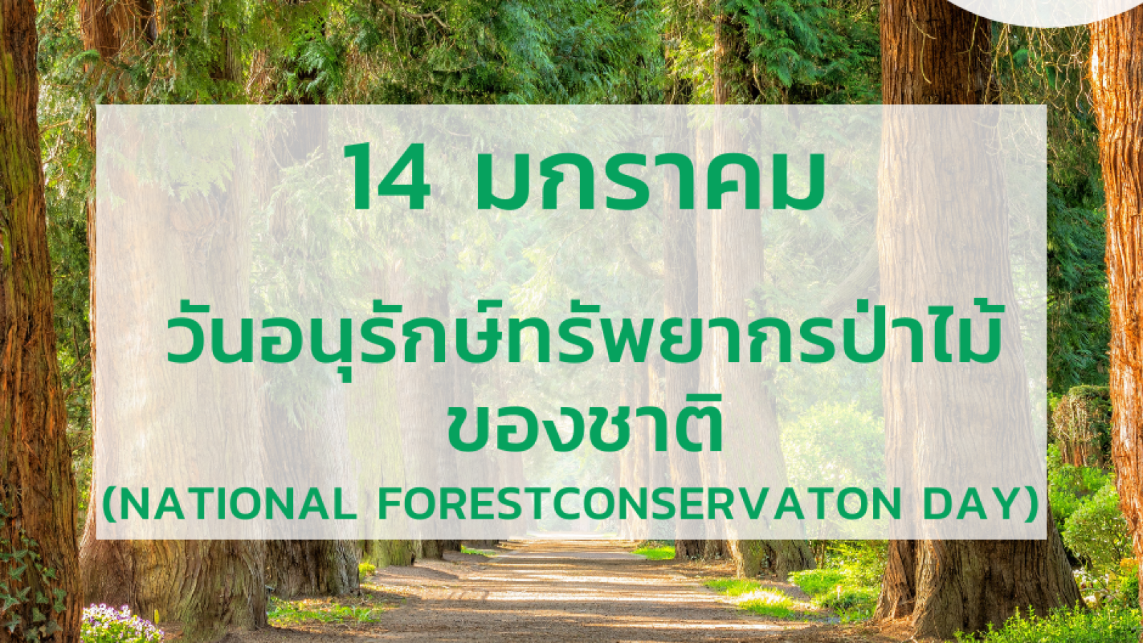 วันทรัพยากรป่าไม้แห่งชาติ (National Forest Conservation Day) #greenlibrary