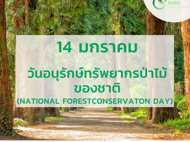 วันทรัพยากรป่าไม้แห่งชาติ (National Forest Conservation Day) #greenlibrary