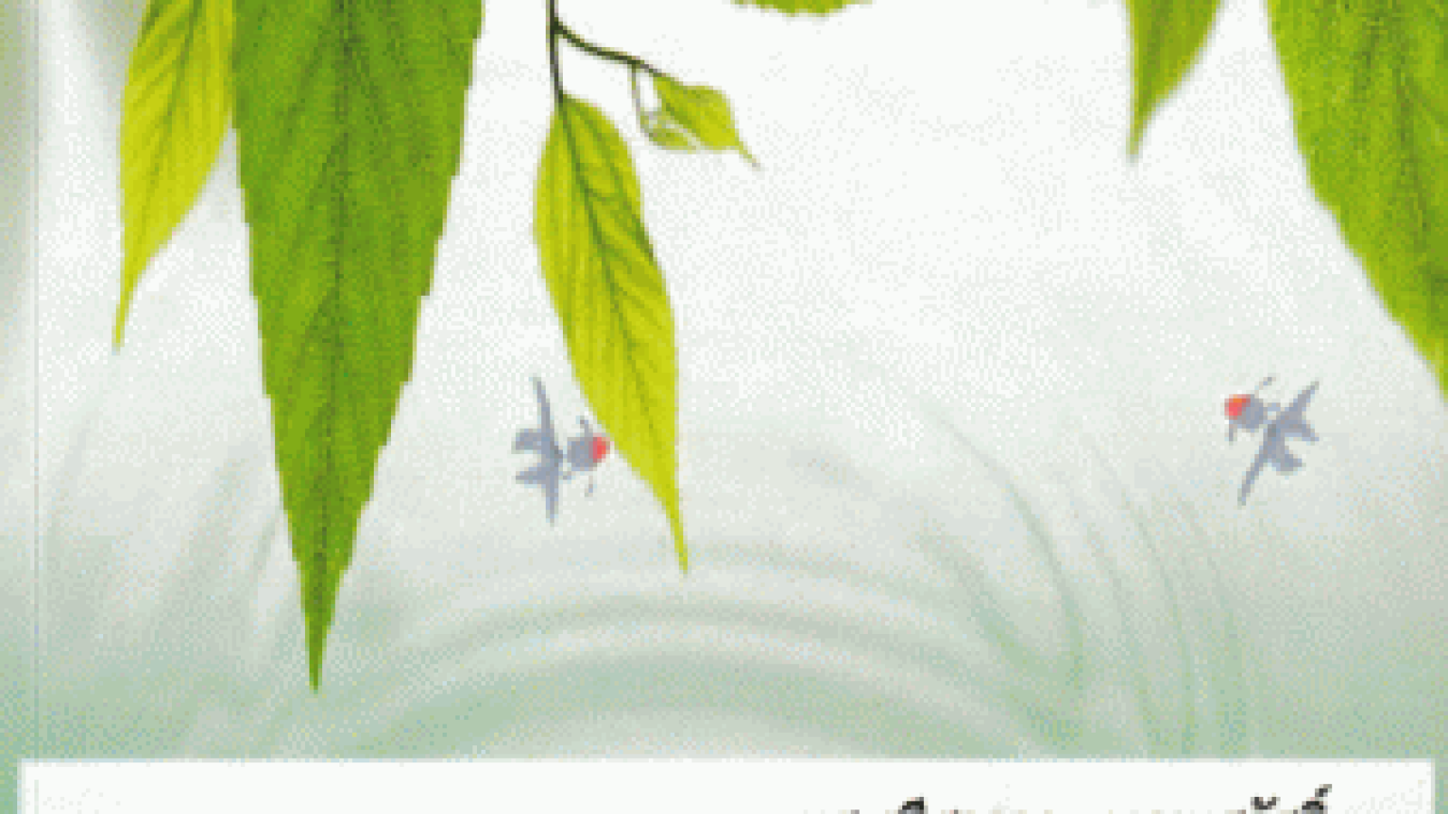 #GreenLibrary #ห้องสมุดสีเขียว #หนังสือเพื่อการอนุรักษ์ทรัพยากรน้ำ #ห้องสมุดบ้านสมเด็จ