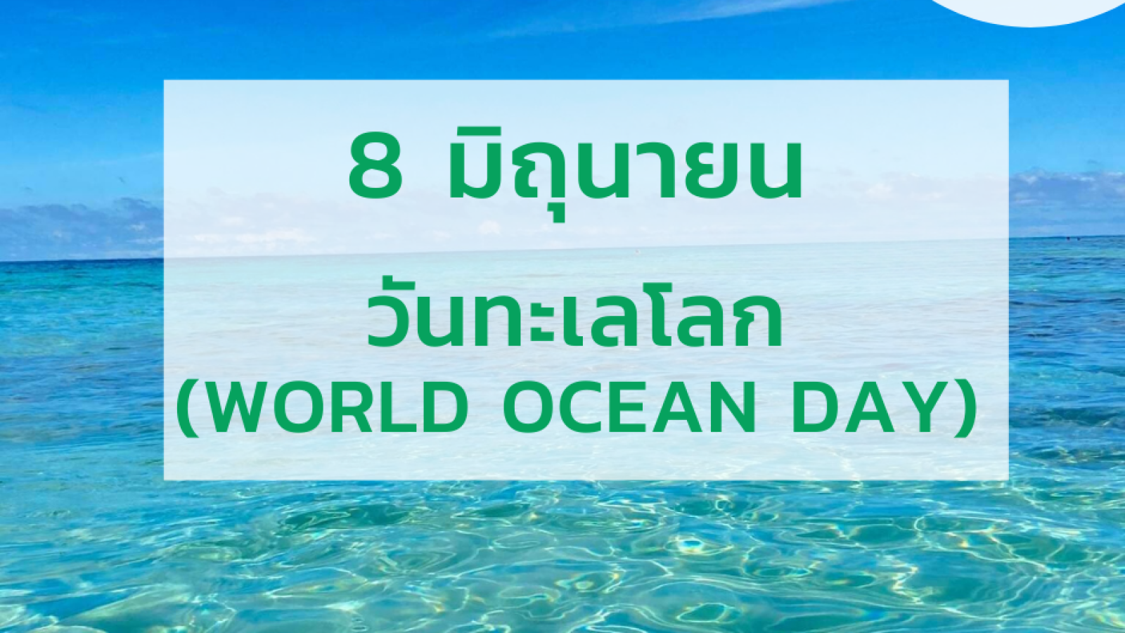 วันทะเลโลก (World Ocean Day) #greenlibrary