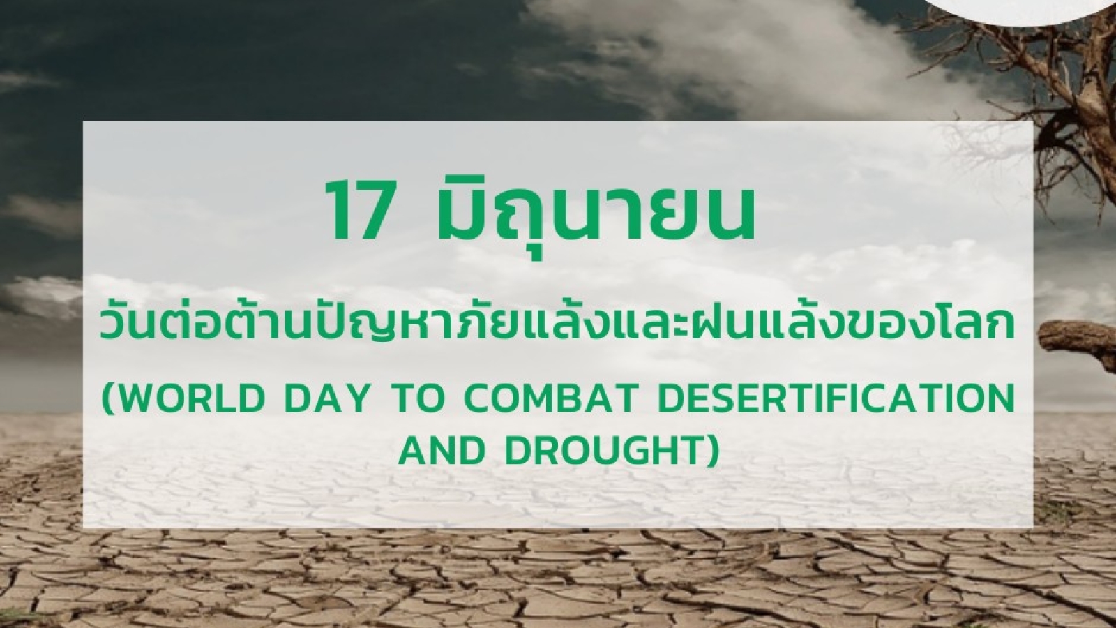 17 มิถุนายน วันต่อต้านภัยแล้งและฝนแล้งโลก (World Day to Combat Desertification and Drought) #greenlibrary