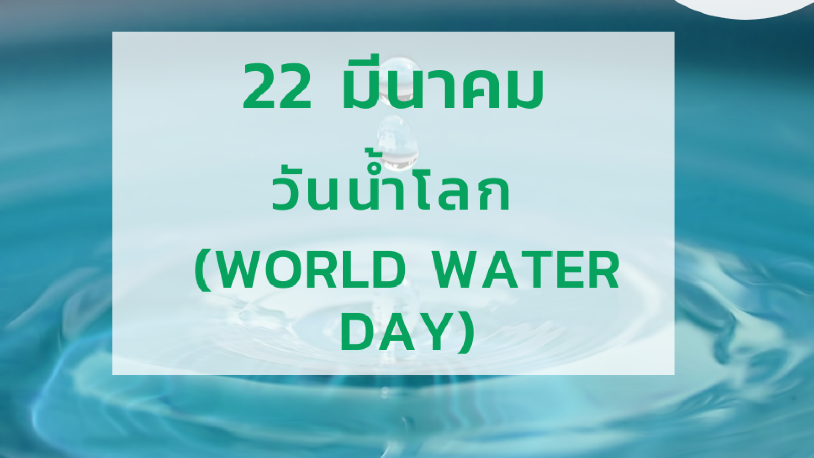 วันน้ำโลก (World Water Day) #greenlibrary