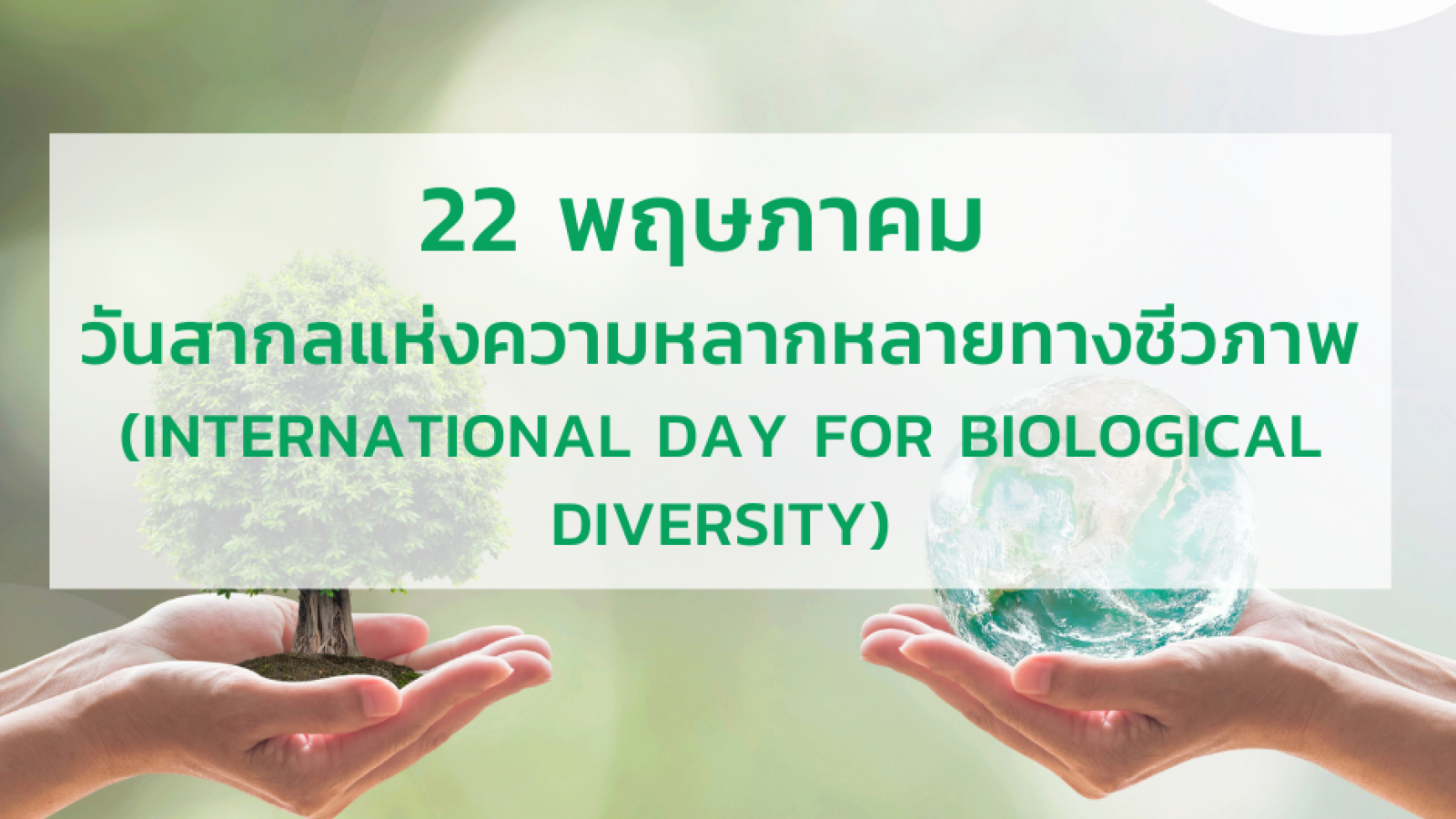 วันสากลแห่งความหลากหลายทางชีวภาพ (International Day for Biological Diversity: IDB) #greenlibrary