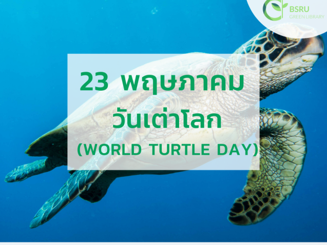 วันเต่าโลก (World Turtle Day) #greenlibrary