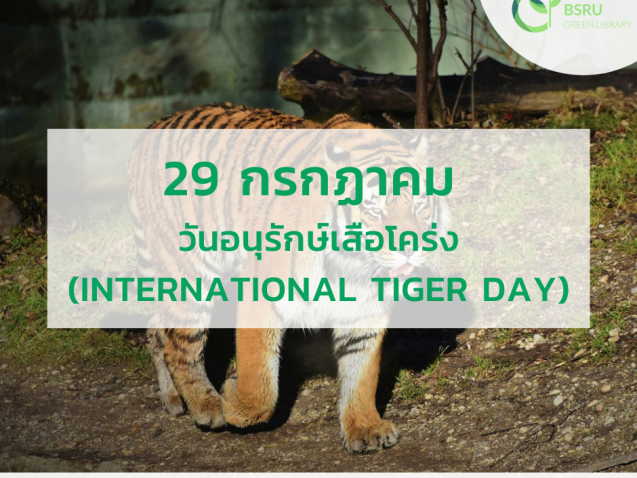 29 กรกฎาคม วันอนุรักษ์เสือโคร่งโลก (Global Tiger Day)#greenlibrary