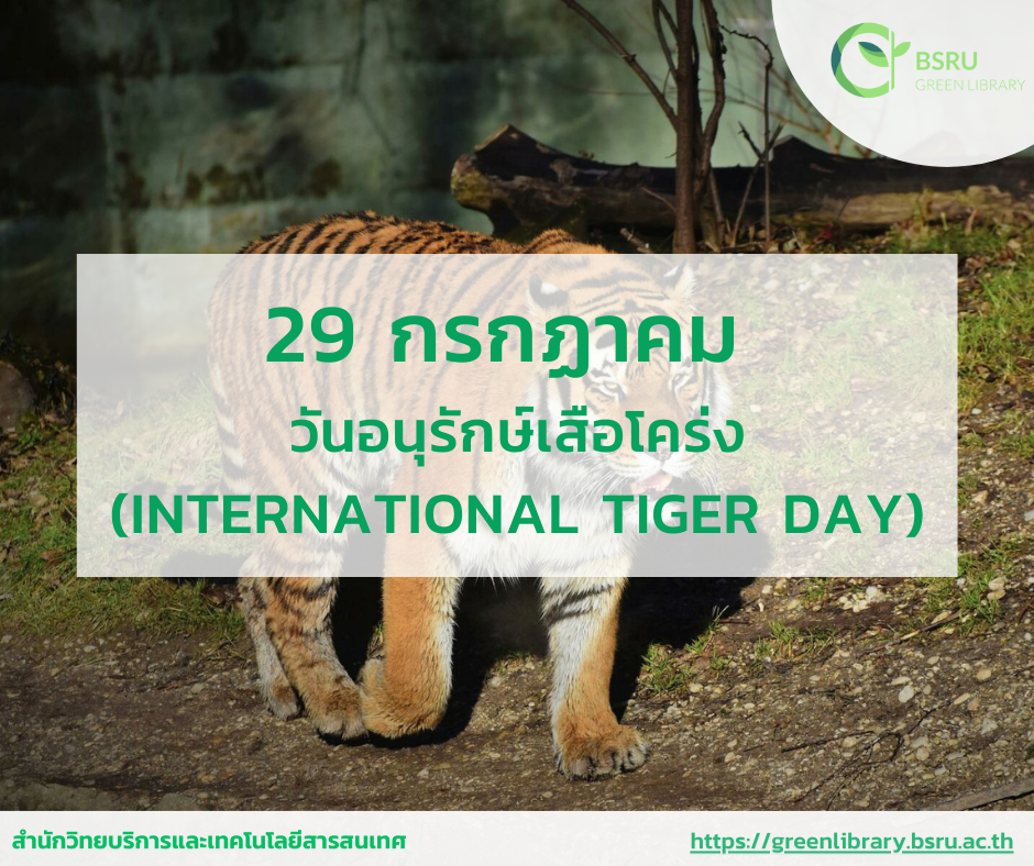 29 กรกฎาคม วันอนุรักษ์เสือโคร่งโลก (Global Tiger Day)#greenlibrary