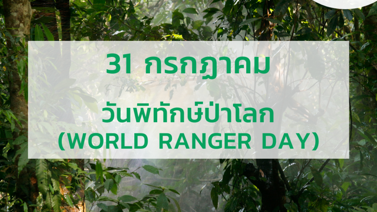 31 กรกฎาคม วันผู้พิทักษ์ป่าโลก (World Ranger Day)#greenlibrary