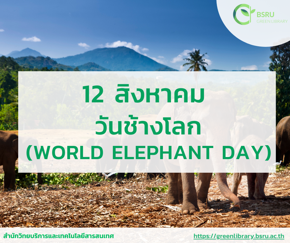 12 สิงหาคม วันช้างโลก (World Elephant Day)#greenlibrary