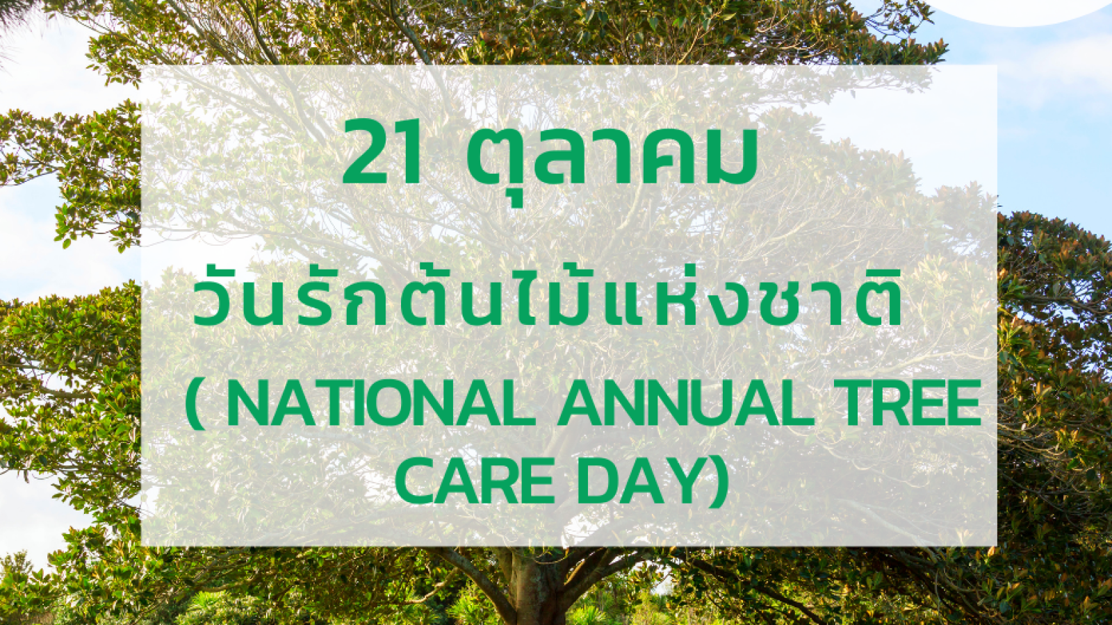 21 ตุลาคม วันรักต้นไม้แห่งชาติหรือวันรักต้นไม้ประจำปีของชาติ (National Annual Tree Care Day)#greenlibrary