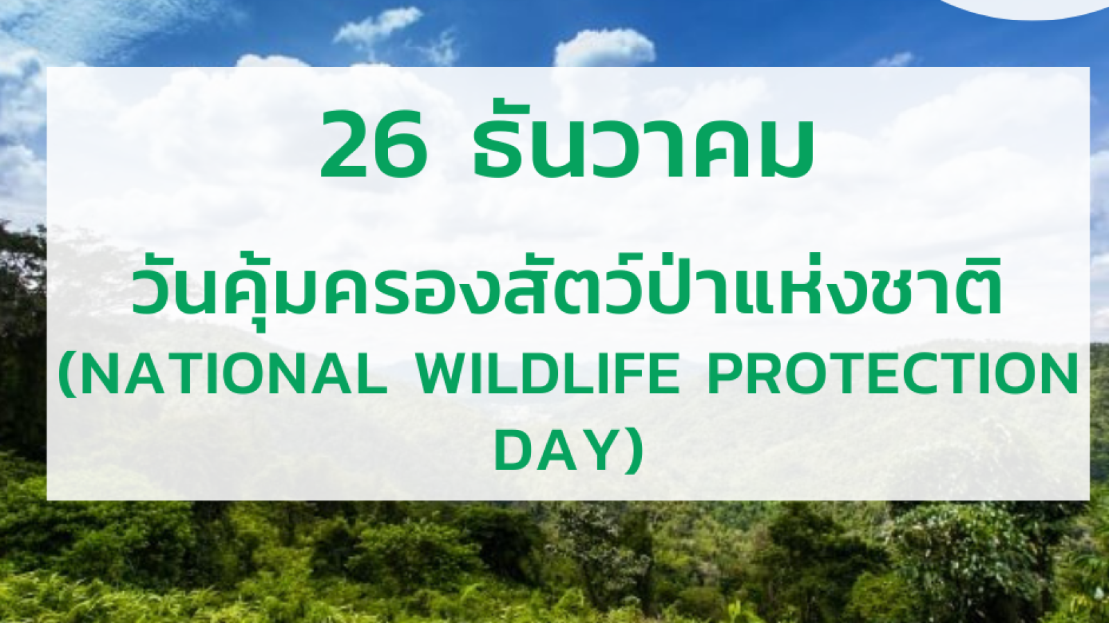 26 ธันวาคม วันคุ้มครองสัตว์ป่าแห่งชาติ (National Wildlife Protection Day)#greenlibrary