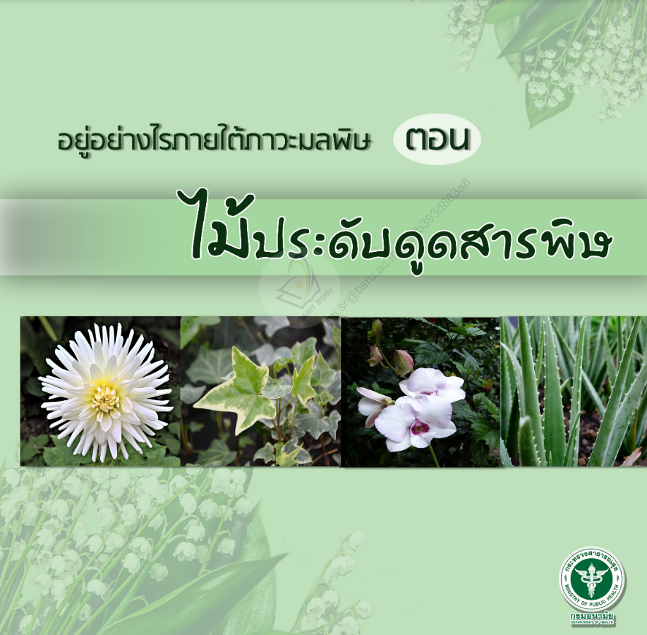 อยู่อย่างไรภายใต้ภาวะมลพิษ ตอน ไม้ประดับดูดสารพิษะ#greenlibaray
