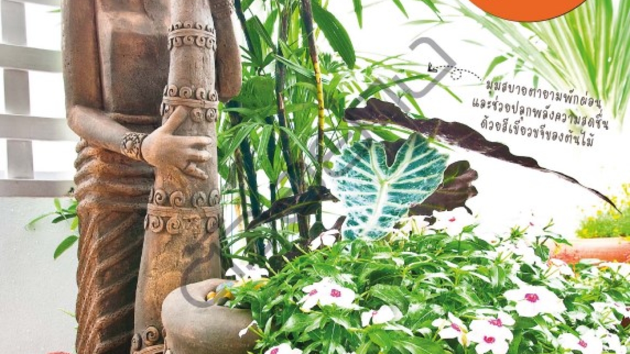 จัดสวนสวยในพื้นที่จำกัด#greenlibaray