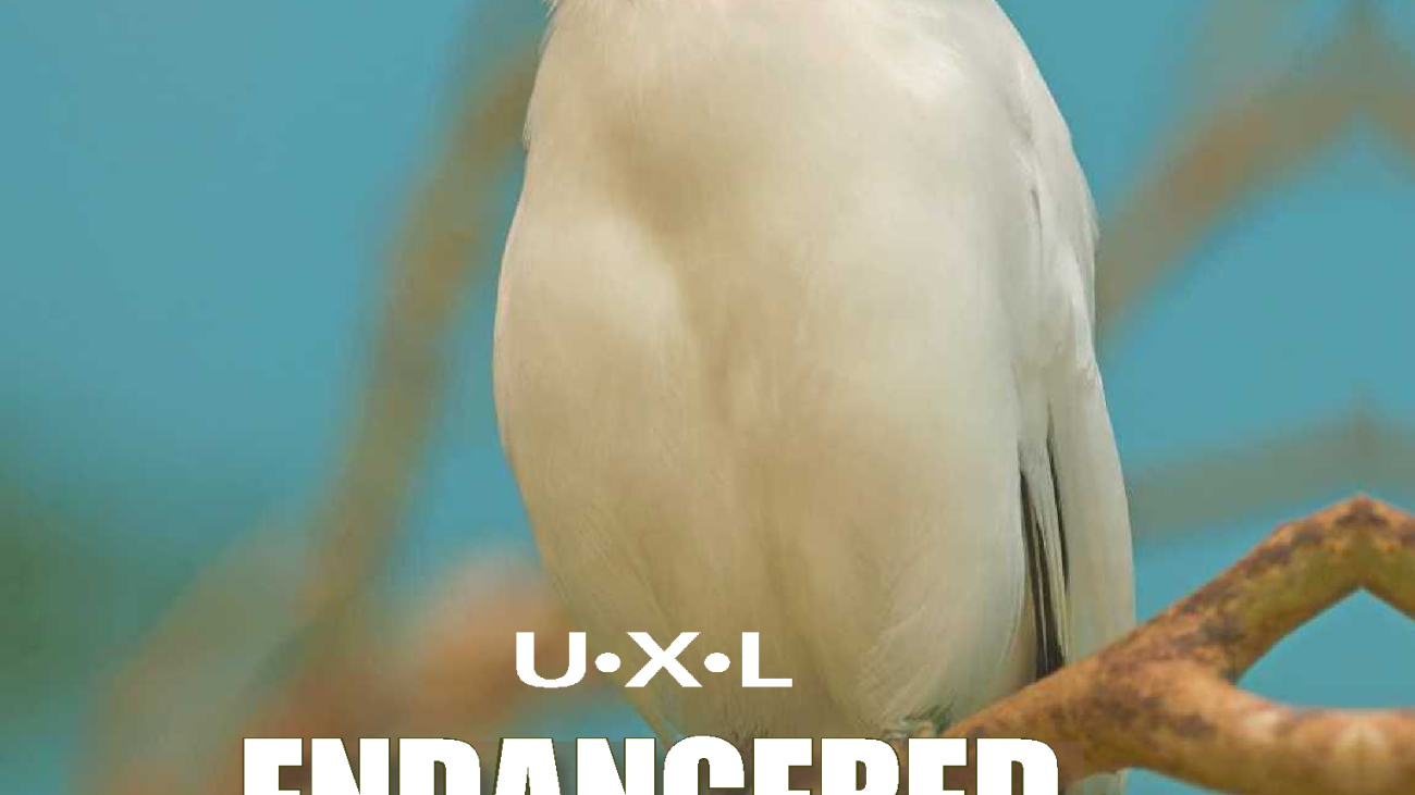 UXL Endangered Species#greenlibaray