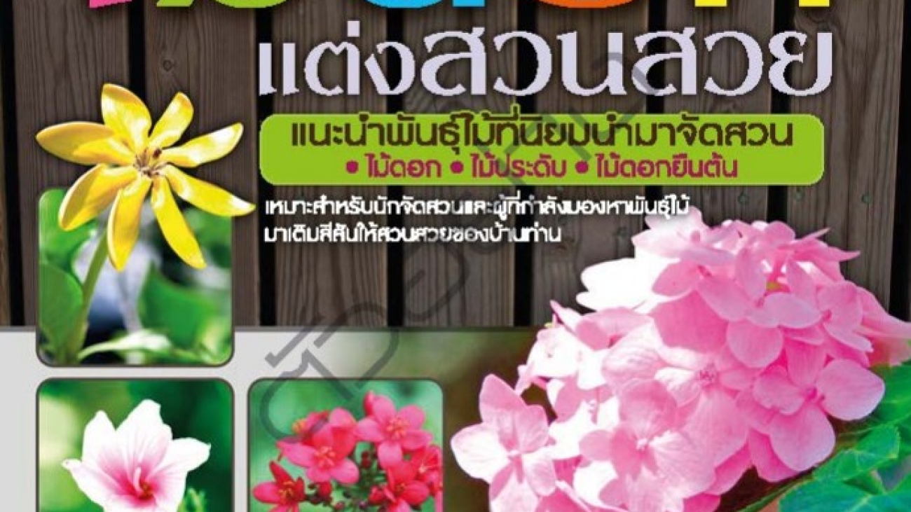 ไม้ดอกแต่งสวนสวย#greenlibaray