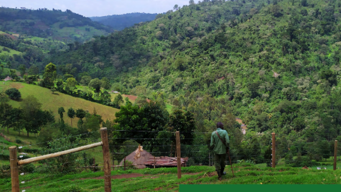 Forest and communities. Deforestation, Conservation and Socio-ecological Relations in the Mau Forest, Kenya#greenlibaray
