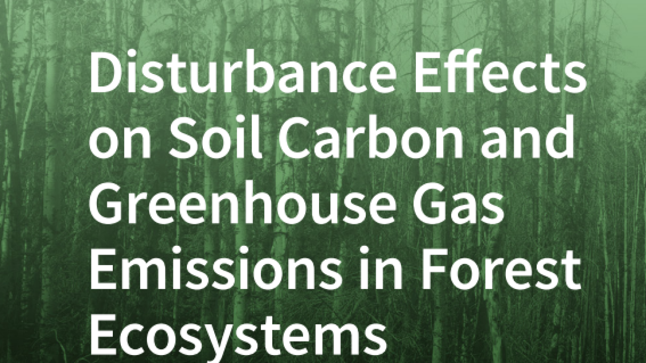 Disturbance Effects on Soil Carbon and Greenhouse Gas Emissions in Forest Ecosystems#greenlibaray