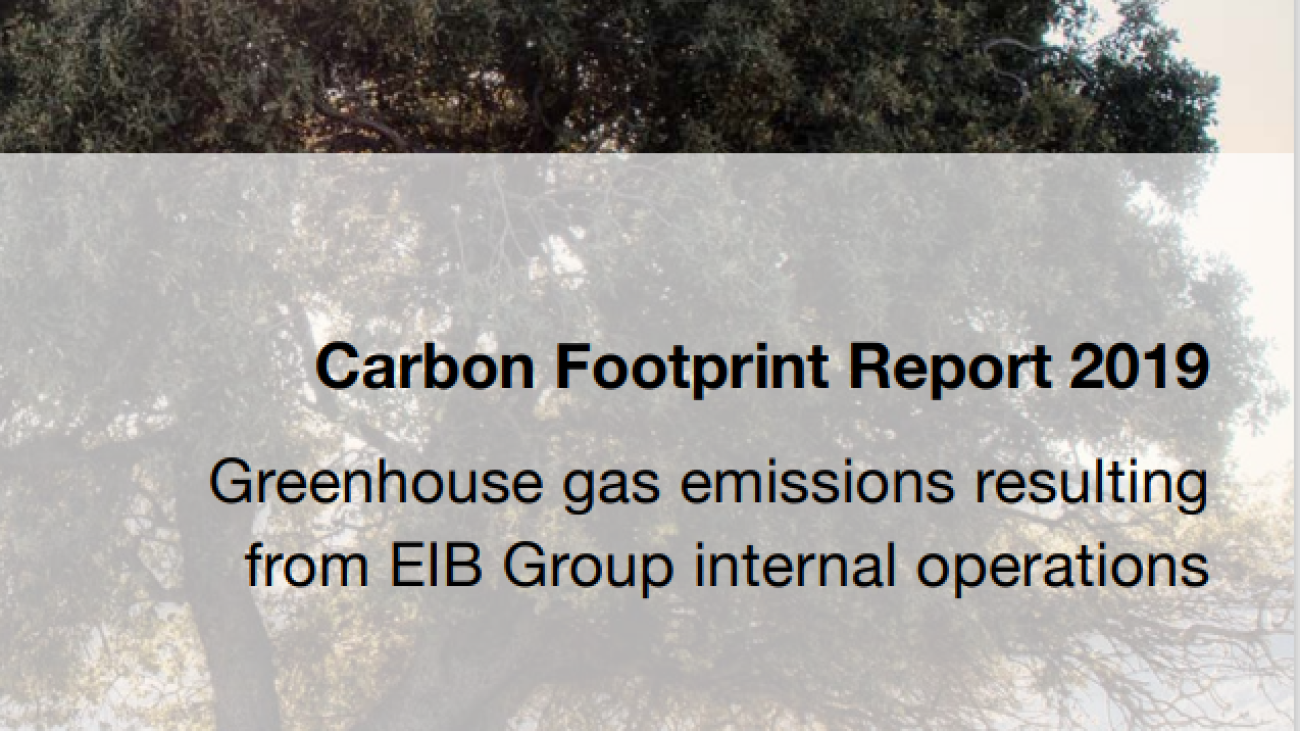 Carbon Footprint Report 2019#greenlibaray