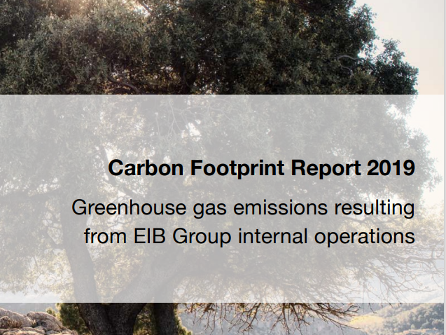 Carbon Footprint Report 2019#greenlibaray