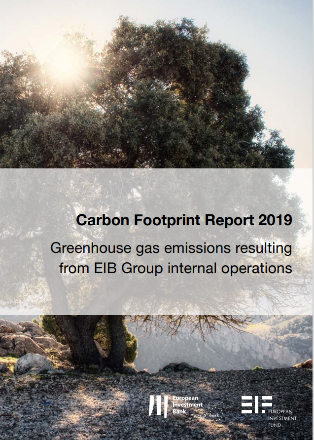 Carbon Footprint Report 2019#greenlibaray