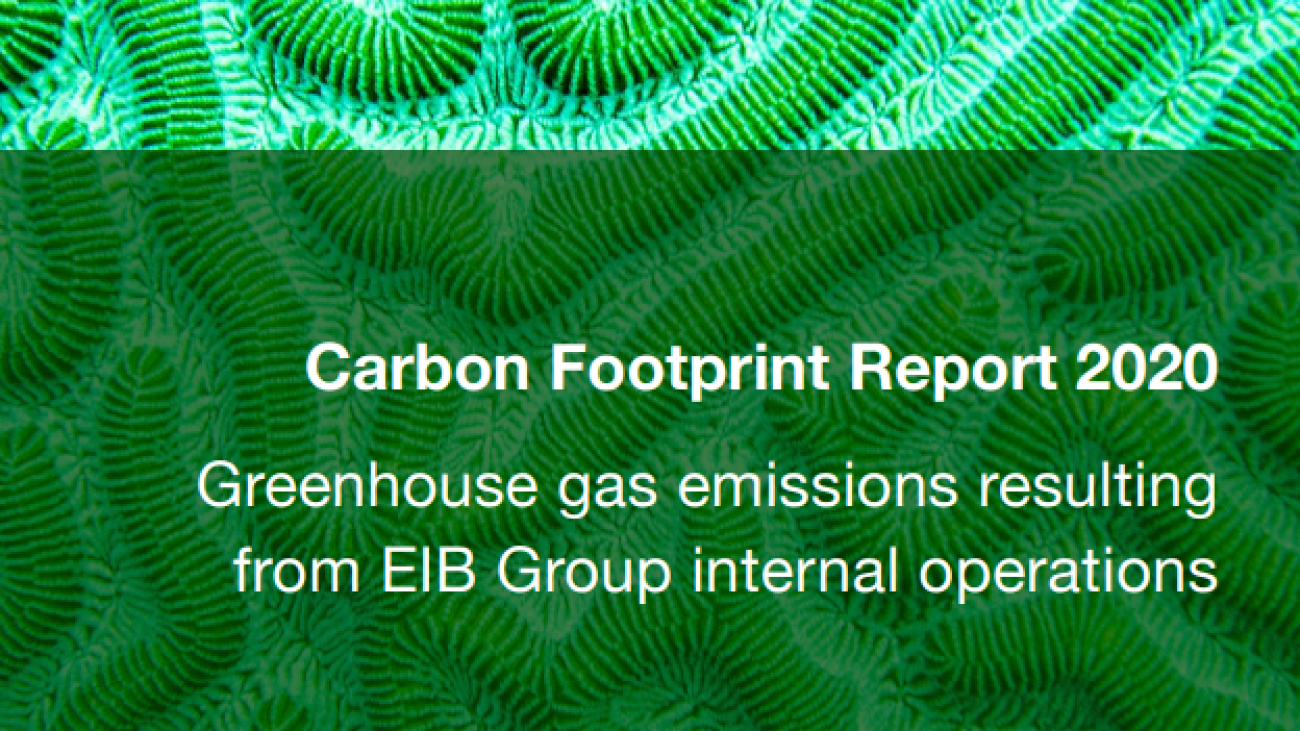 carbon footprint Report2020#greenlibaray