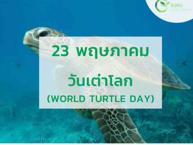 วันเต่าโลก (World Turtle Day) #greenlibrary