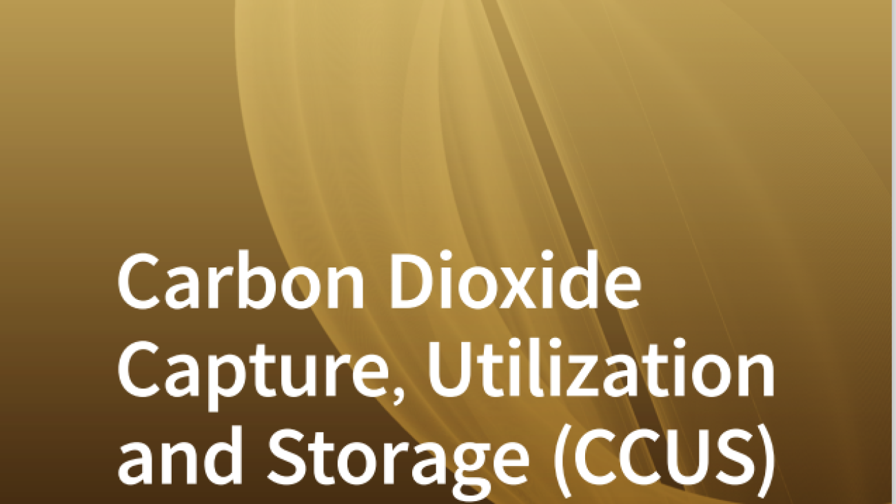 Carbon Dioxide Capture, Utilization and Storage (CCUS) #greenlibaray
