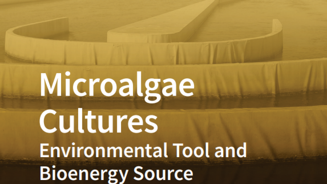 Microalgae Cultures #greenlibaray
