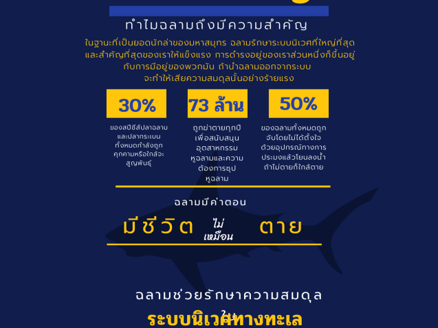 ฉลามก็สำคัญ#greenlibrary #greenbsru
