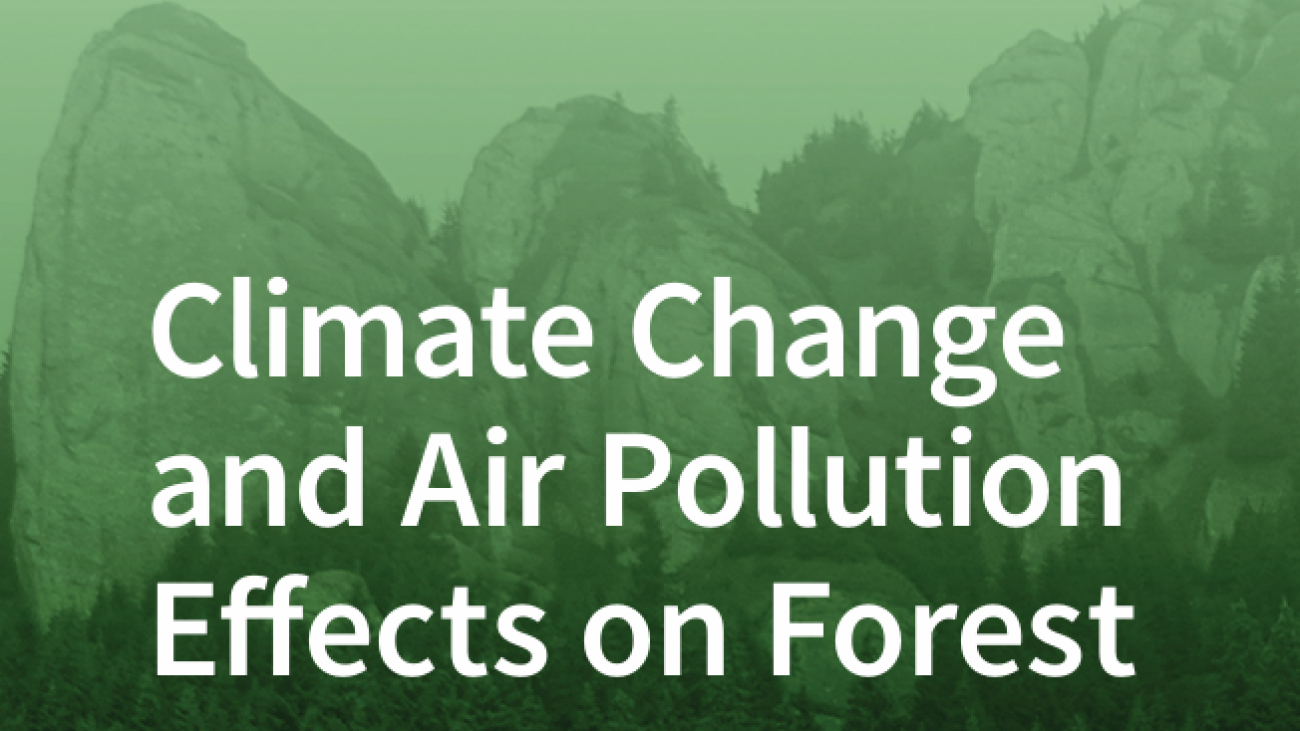 Climate Change and Air Pollution Effects on Forest Ecosystems#greenlibrary