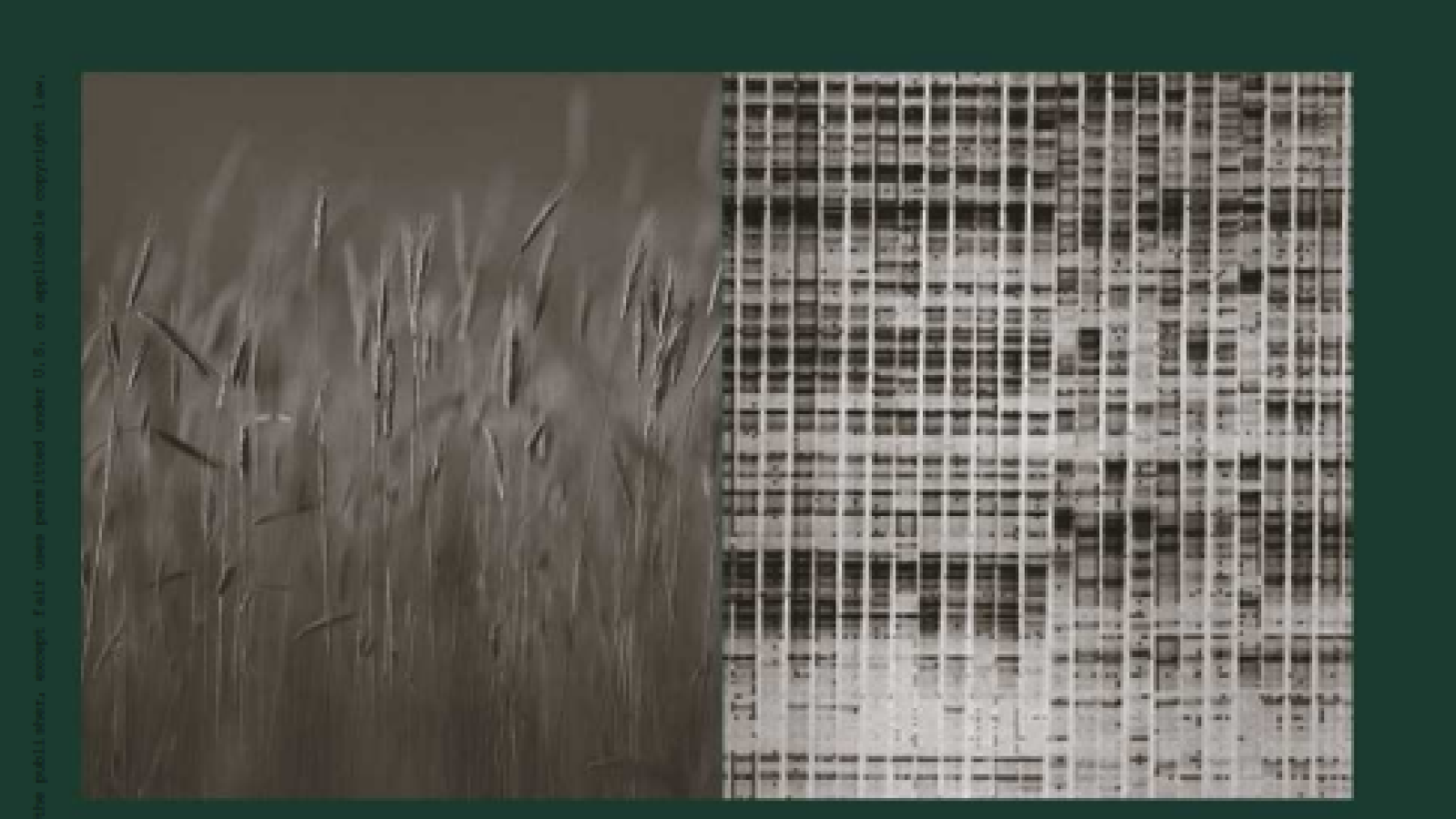 Physiology and Biotechnology Integration for Plant Breeding#greenlibrary