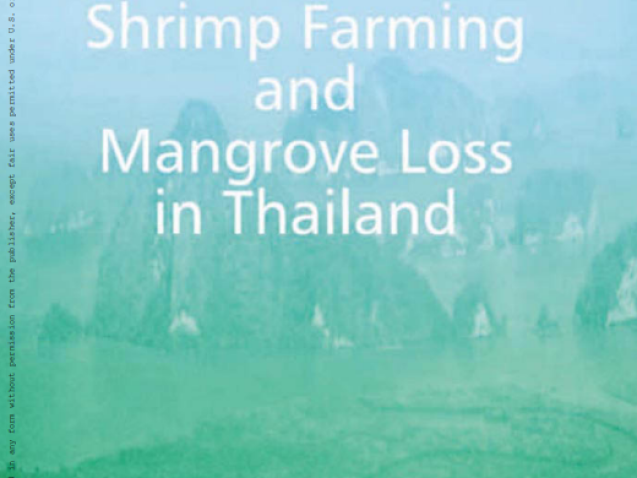 Shrimp Farming and Mangrove Loss in Thailand#greenlibrary