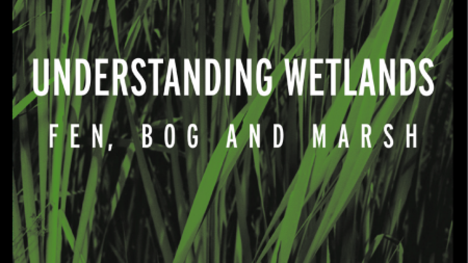 Understanding Wetlands : Fen, Bog and Marsh#greenlibrary