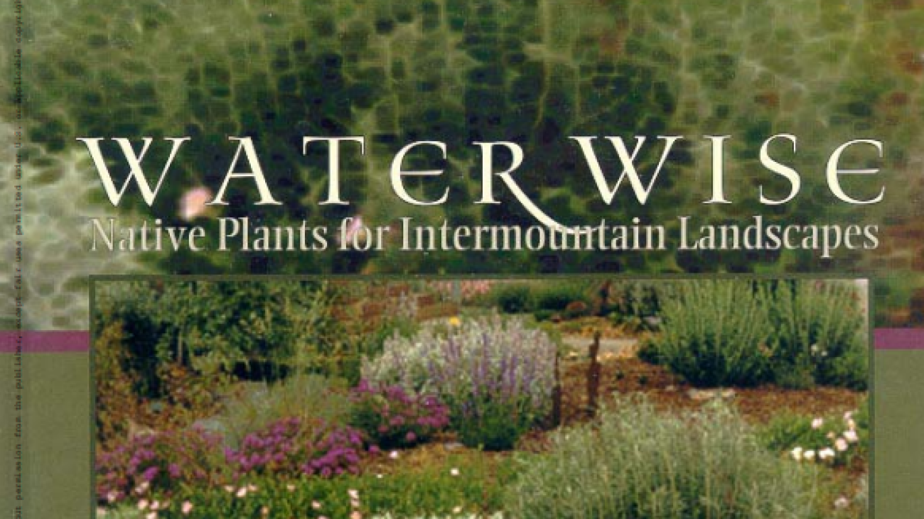 Water Wise Native Plants for Intermountain Landscapes#greenlibrary