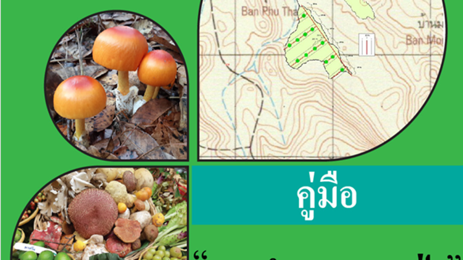 คู่มือ การสำรวจของป่า#greenlibaray