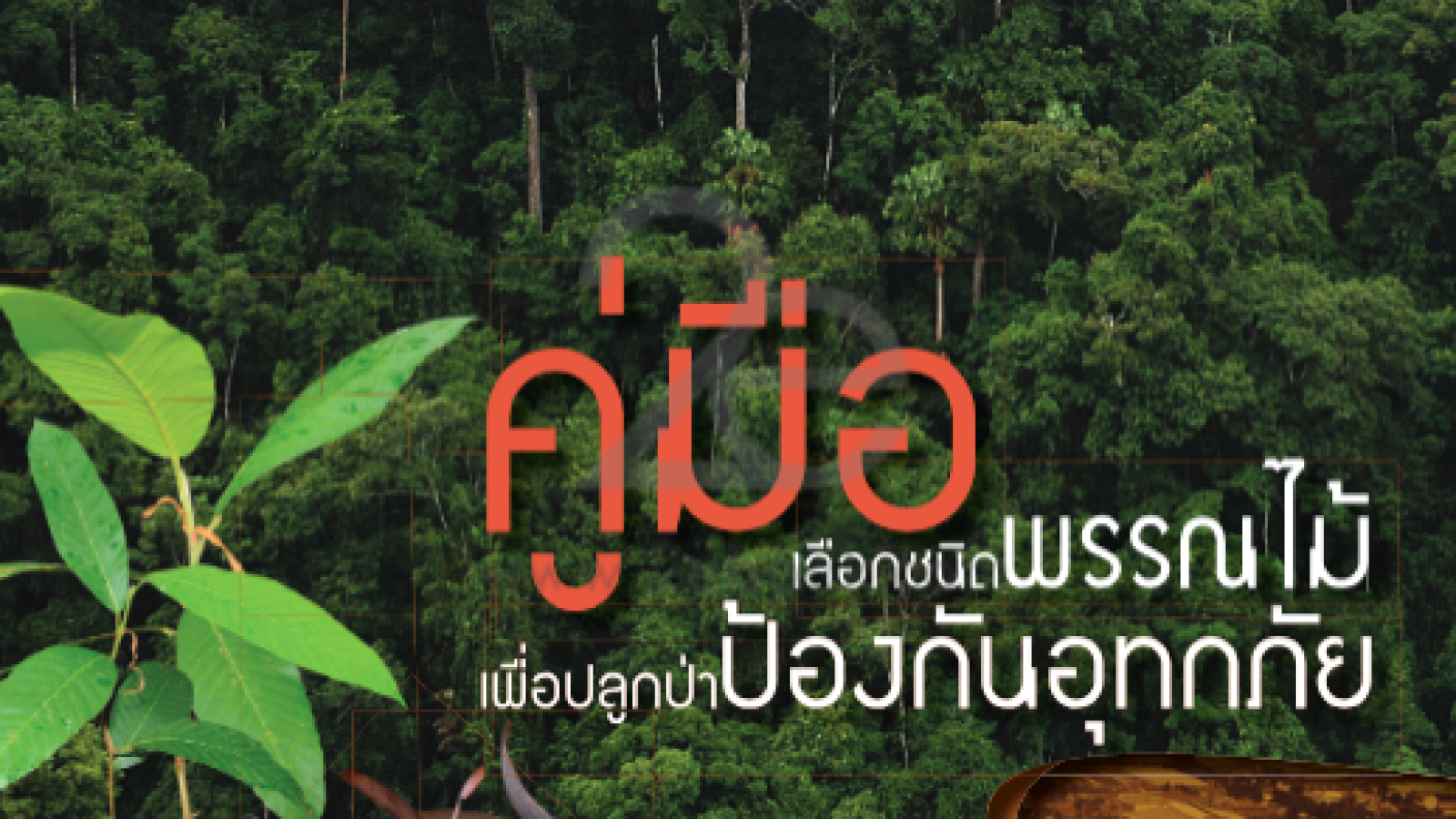 คู่มือเลือกชนิดพรรณไม้เพื่อปลูกป่าป้องกันอุทกภัย#greenlibaray