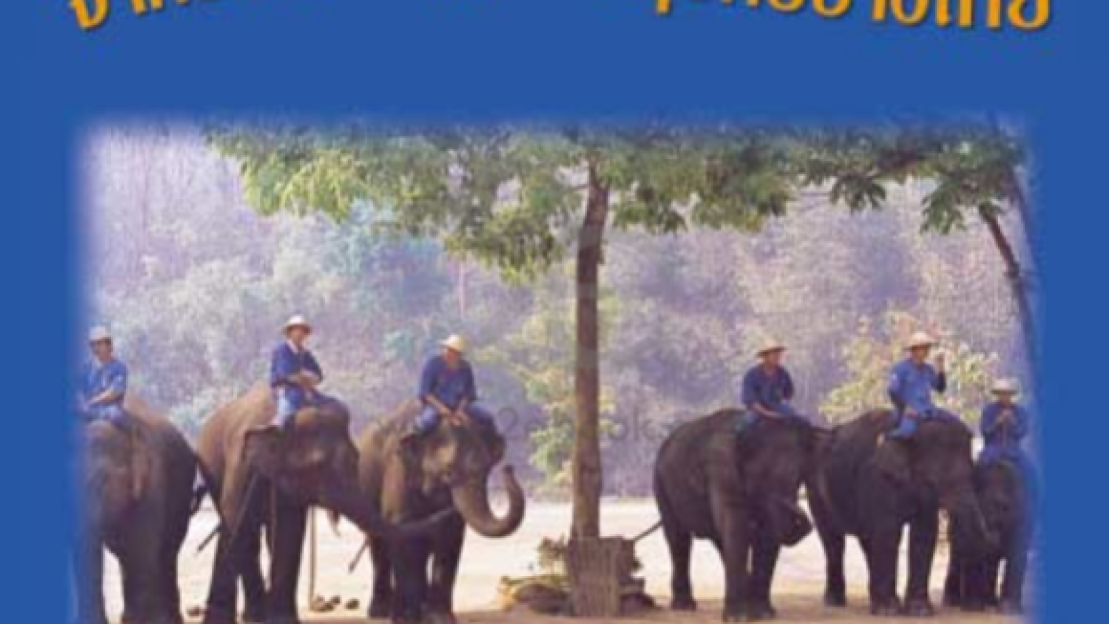 จากป่าดงสู่ศูนย์อนุรักษ์ช้างไทย#greenlibaray