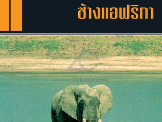 ช้างแอฟริกา#greenlibaray