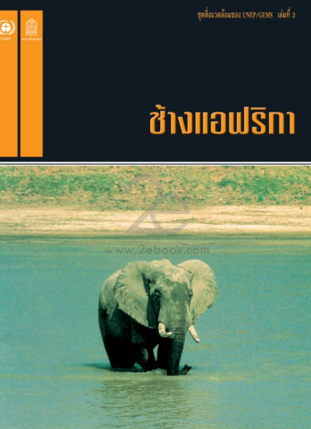 ช้างแอฟริกา#greenlibaray
