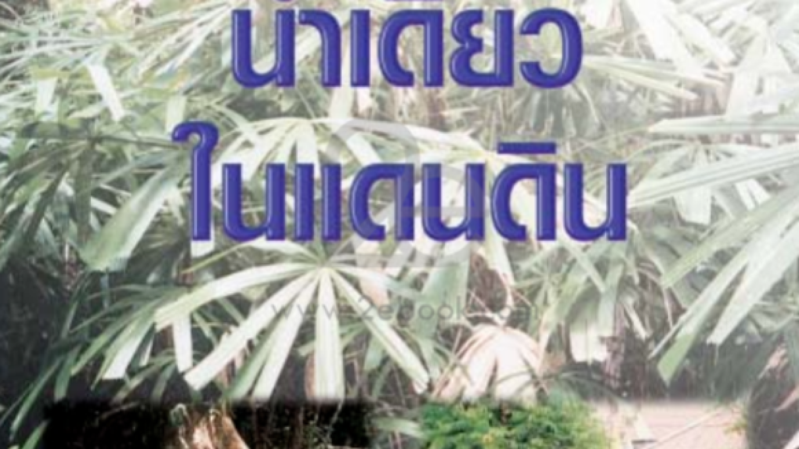 ป่าเดียว น้ำเดียว ในดินแดน#greenlibaray
