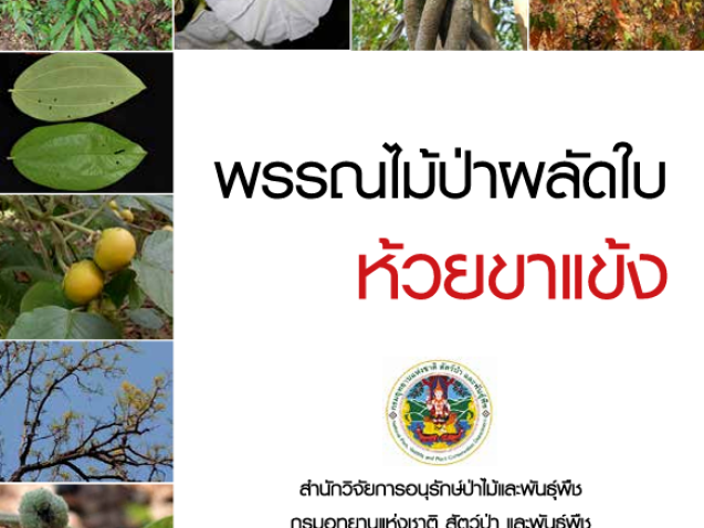 พรรณไม้ป่าผลัดใบห้วยขาแข้ง#greenlibaray