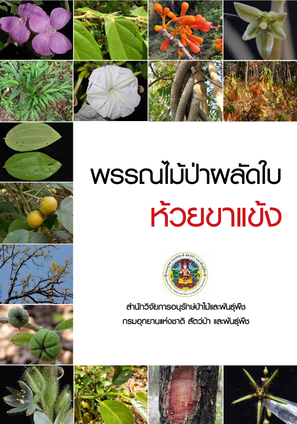พรรณไม้ป่าผลัดใบห้วยขาแข้ง#greenlibaray