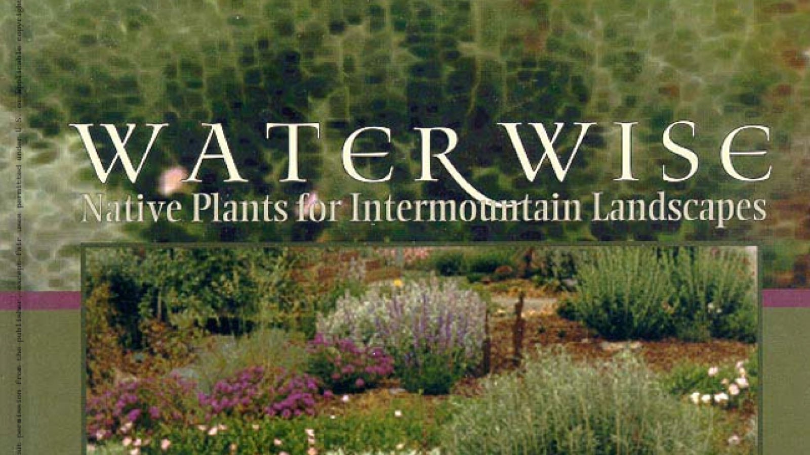 Water Wise Native Plants for Intermountain Landscapes#greenlibrary