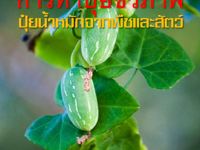 การทำปุ๋ยชีวภาพ น้ำหมักจากพืชและสัตว์#greenlibaray