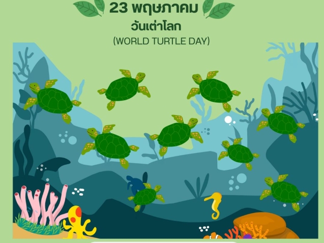 23 พฤษภาคม วันเต่าโลก#greenlibrary