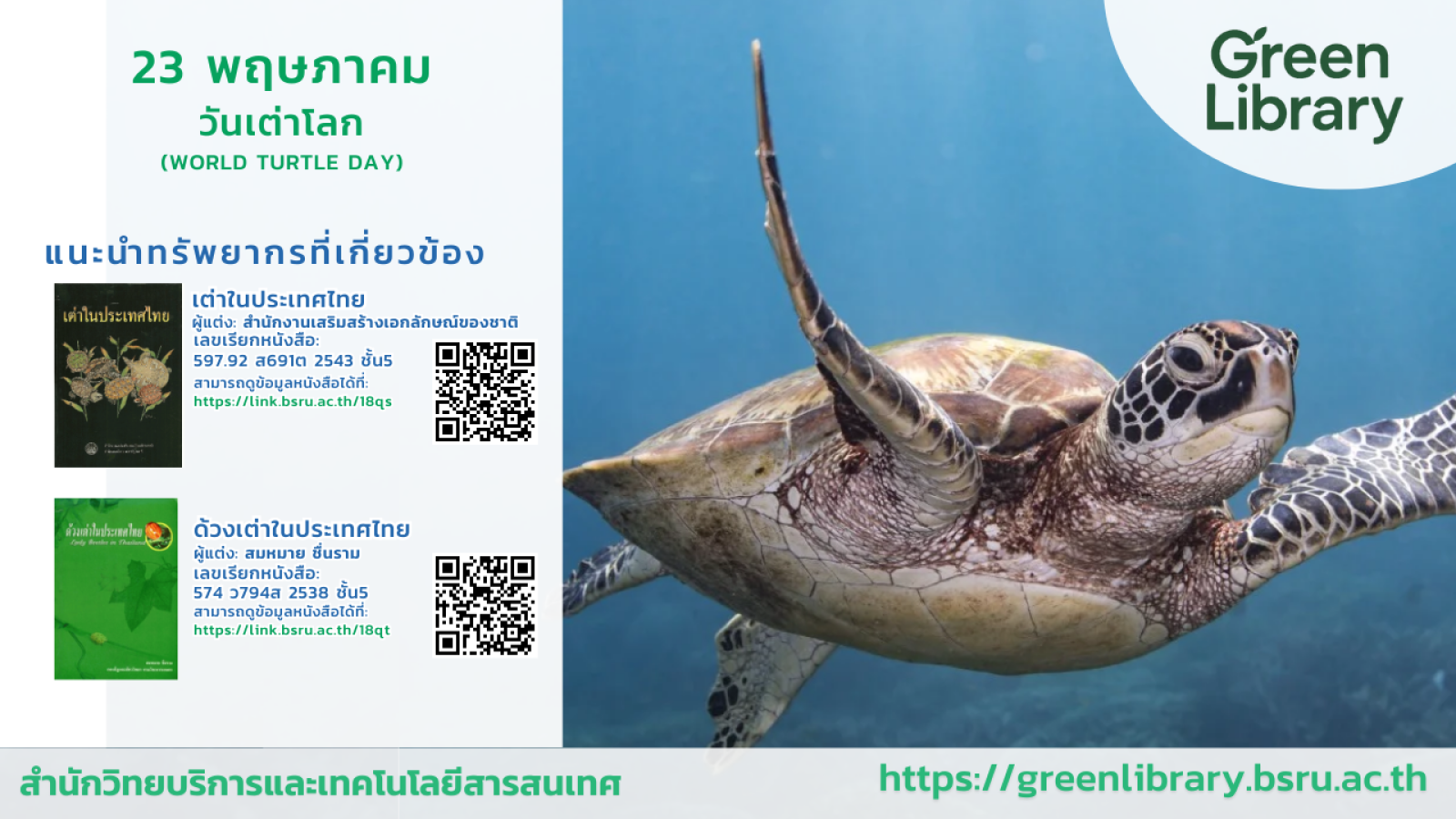 23 พฤษภาคม วันเต่าโลก#greenlibrary