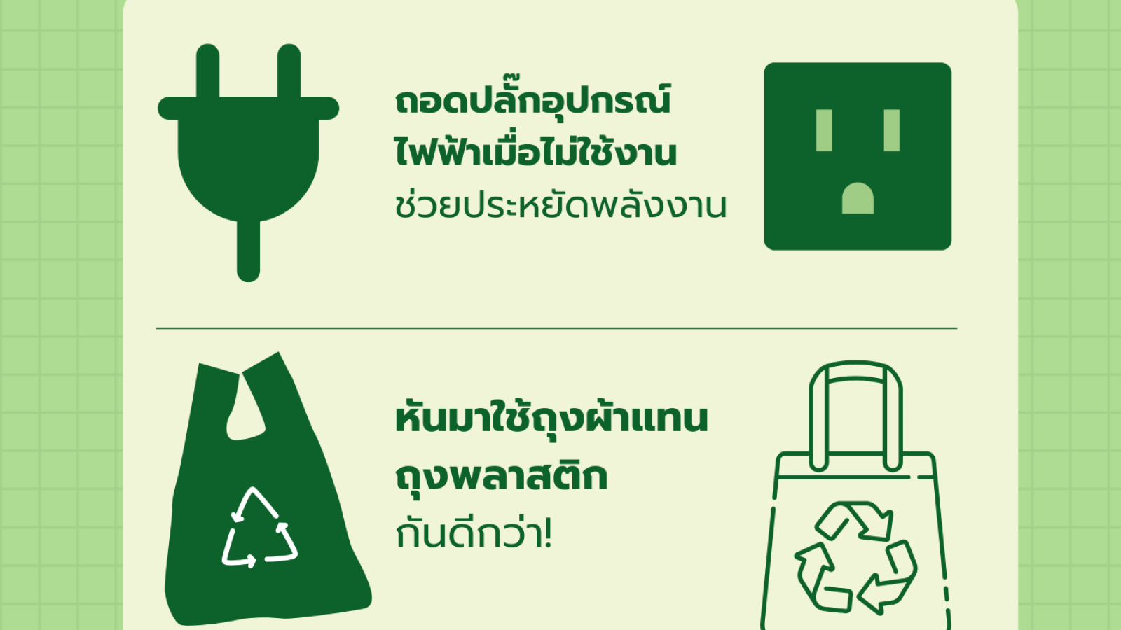 GREEN FACT รู้หรือไม่ ? เรื่องเขียวๆ ที่คุณอาจไม่เคยรู้! #greenlibaray