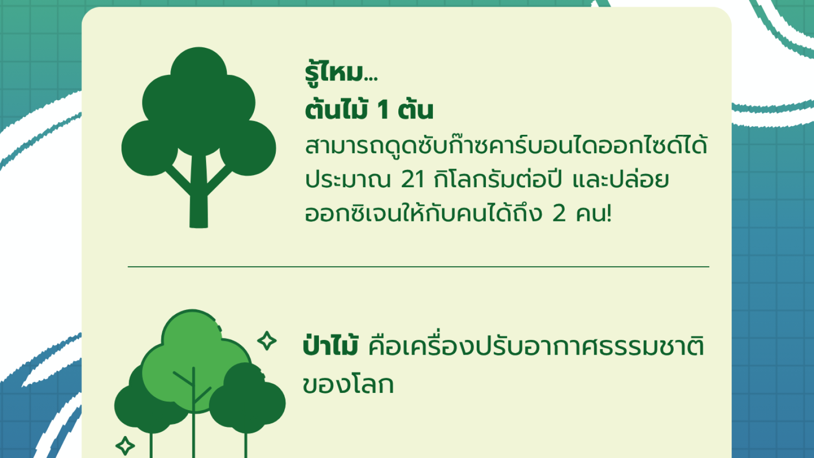 GREEN FACT รู้หรือไม่ ? เรื่องเขียวๆ ที่คุณอาจไม่เคยรู้! #greenlibaray