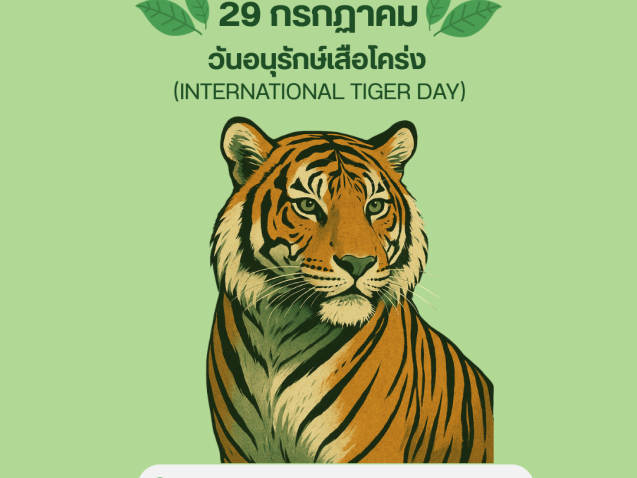 29 กรกฏาคม วันอนุรักษ์เสือโคร่ง#greenlibrary